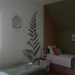 Black Hill Ginger Z Sauna Duszniki Zdrój