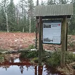 Black Hill Ginger Z Sauna Duszniki Zdrój