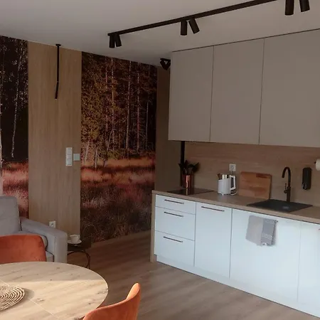 Apartmán Black Hill Ginger Z Sauna