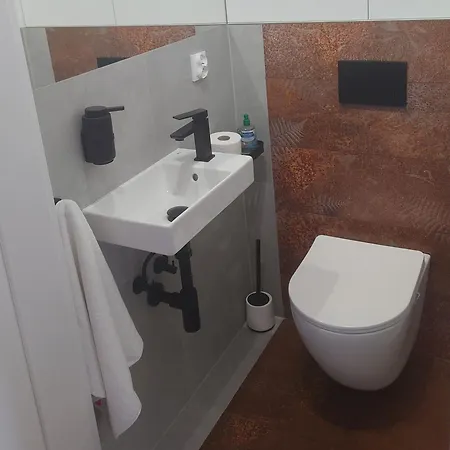 Black Hill Ginger Z Sauna