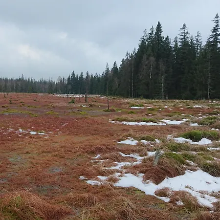 Black Hill Ginger Z Sauna Appartement Duszniki Zdrój