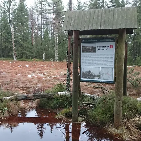 Black Hill Ginger Z Sauna Duszniki Zdroj
