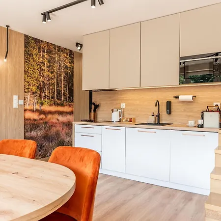 Black Hill Ginger Z Sauna Apartment Duszniki Zdroj