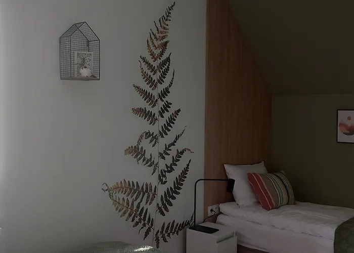 Black Hill Ginger Z Sauna Душники-Здруй