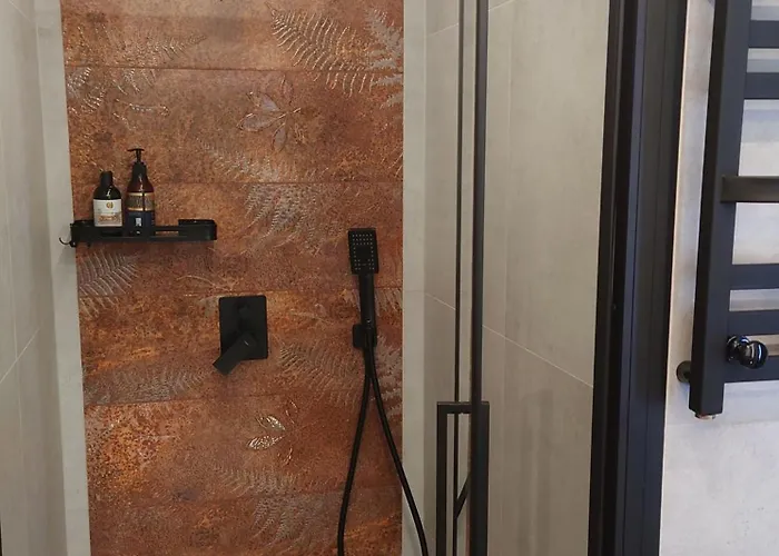 Black Hill Ginger Z Sauna Апартаменты *