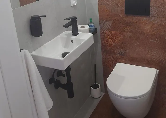 Black Hill Ginger Z Sauna