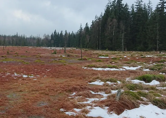 Black Hill Ginger Z Sauna Apartmán Duszniki Zdrój