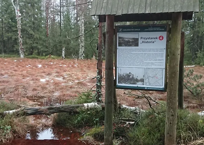 Black Hill Ginger Z Sauna Duszniki Zdrój